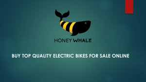 Buy Top Quality Electric Bikes For Sale Online