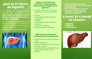 CANCER DE HIGADO (
