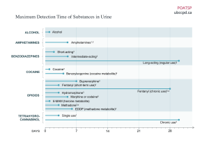 Detection-Time-of-Substances-in-Urine