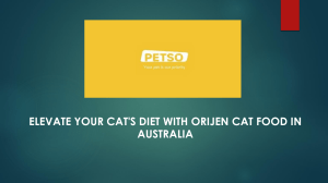 Elevate Your Cat's Diet with Orijen Cat Food In Australia