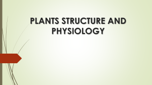 IGCSE-PLANTS STRUCTURE AND PHYSIOLOGY