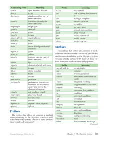 Attachment  PDF  Printable  Introduction to Medical Terminology, 1st Edition page 205