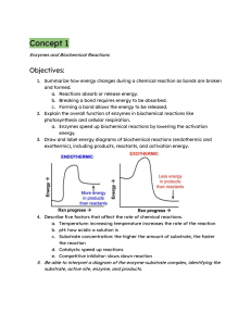 Unit 3 Energy Flow study guide