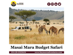 Masai Mara Budget Safari