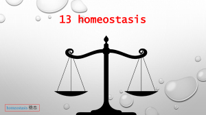 14 homeostasis