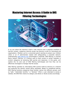 Mastering Internet Access  A Guide to DNS Filtering Technologies