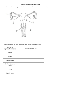 Reproduction-diagrams-worksheet .docx