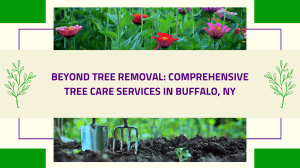 Beyond Tree Removal: Comprehensive Tree Care Services in Buffalo, NY