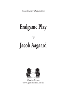 EndgamePlay-excerpt
