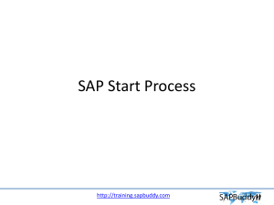 4.1+SAP+Start+process