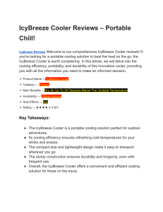 IcyBreeze Portable Air Conditioner