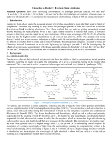 IA attachment 4