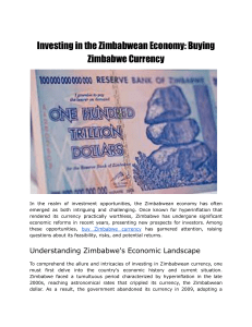 Investing in the Zimbabwean Economy  Buying Zimbabwe Currency