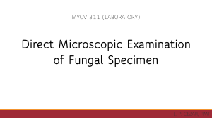 Direct Microscopic Examination of Fungal Specimen (Yeast and Molds)-1
