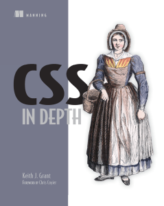 CSS in Depth ( PDFDrive )