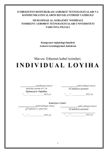Individual loyiha (4)