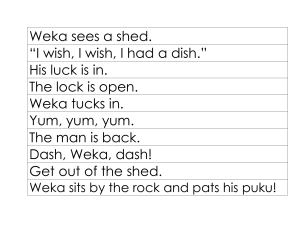 Phonics Plus text for Weka in the Shed