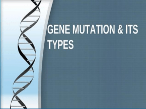 Gene Mutation- Ligaya B. Pullis