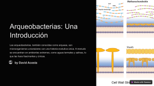 Arqueobacterias-Una-Introduccion