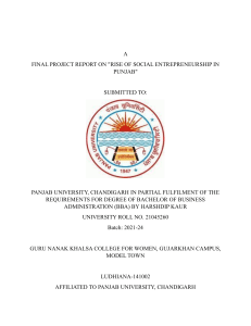 Report on Social Entrepreneurship in Punjab, India