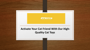 Activate Your Cat Friend With Our High-Quality Cat Toys