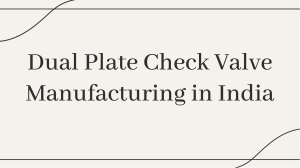 Dual Plate Check Valve Manufacturer India