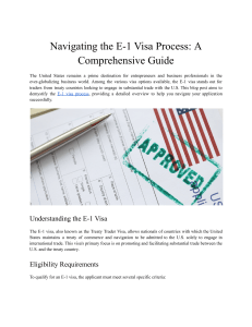 Navigating the E-1 Visa Process  A Comprehensive Guide