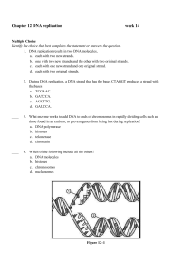Chapter 12 DNA replication