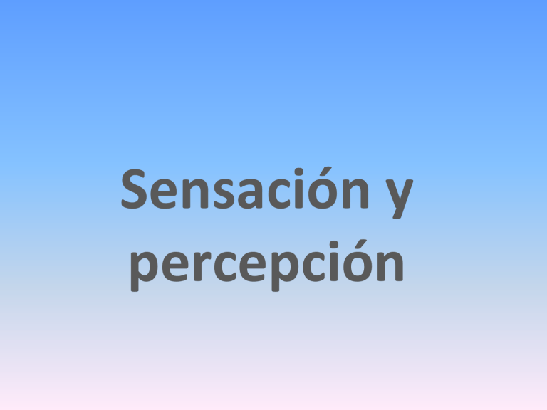 Sensacion y percepcion