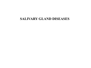 14-15-salivary-gland-diseases