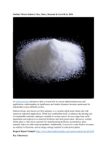 Sodium Nitrate Industry Size, Share, Demand & Growth by 2026