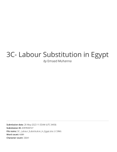 Labour Substitution in Egypt