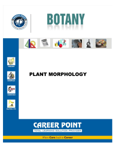 Botany Plant morphology