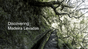 Discovering Madeira Levadas
