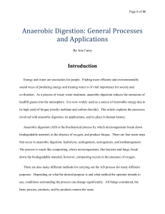 Research Paper on Anaerobic Digestion