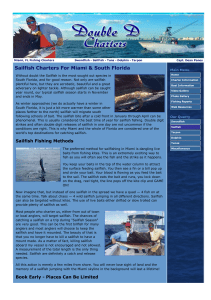 Miami sailfish charters 