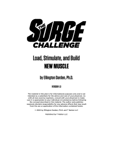 The Surge Challenge Principles