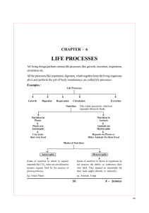 Life Processes notes
