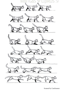 como dibujar animales