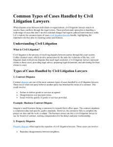 Common Types of Cases Handled by Civil Litigation Lawyers