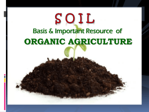 Soil & Organic Agriculture: Basics