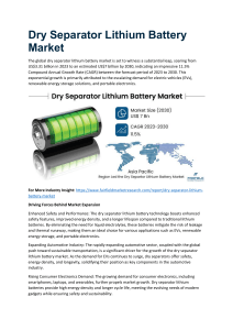 Dry Separator Lithium Battery Market Growth, Trends, Size, Share, Demand And Top Growing Companies 2030