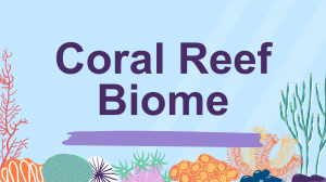 CORAL REEF BIOME