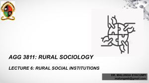 Lecture 6 - Rural Social Institutions