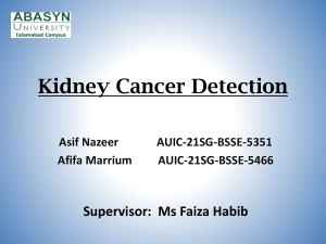 Kidney Cancer detection Presentation - FYP-1