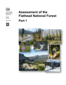 Assessment Flathead National Forest