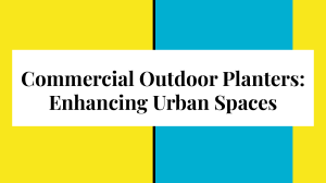 Commercial Outdoor Planters  Enhancing Urban Spaces