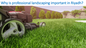 Why is professional landscaping important in Riyadh