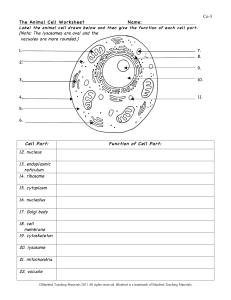 1.1-animal cell worksheet