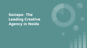 Sociapa  The Leading Creative Agency in Noida